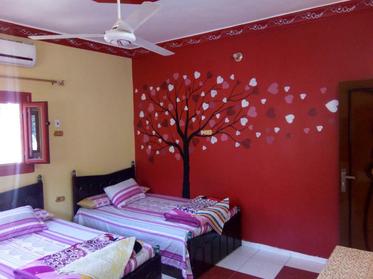 אסואן El-Amin Guest House מראה חיצוני תמונה