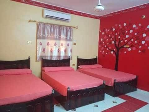 אסואן El-Amin Guest House מראה חיצוני תמונה
